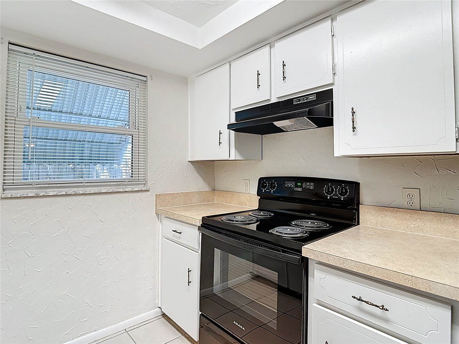 6350 Edenmore Ave, New Port Richey, FL 34653