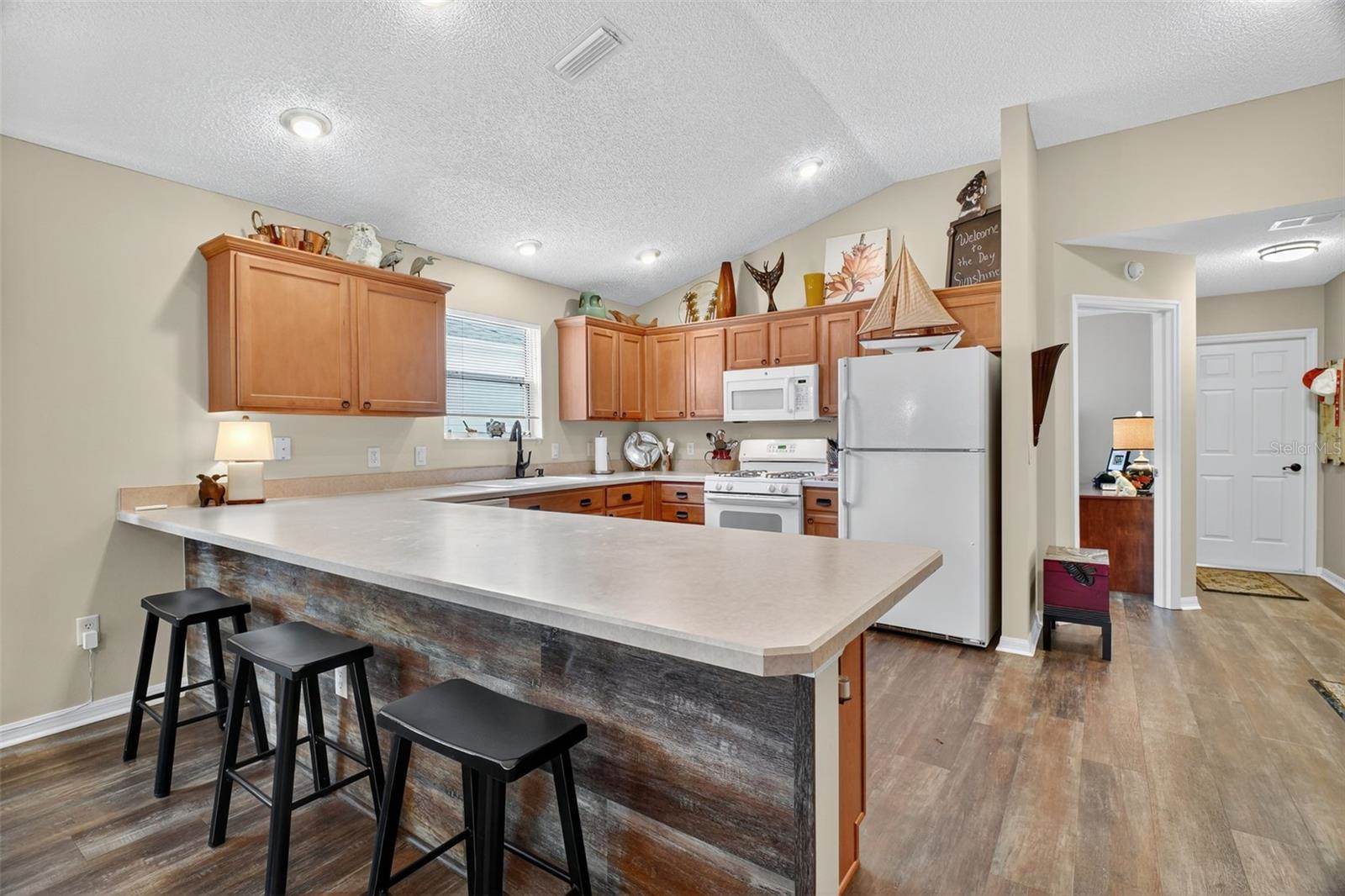 1407 Georgiana Terrace, The Villages, FL 32162