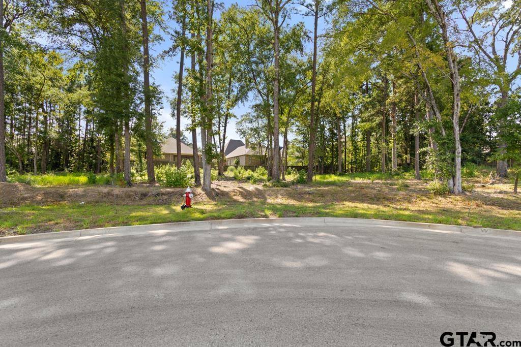 2227 Cherryhill Circle, Tyler, TX 75703