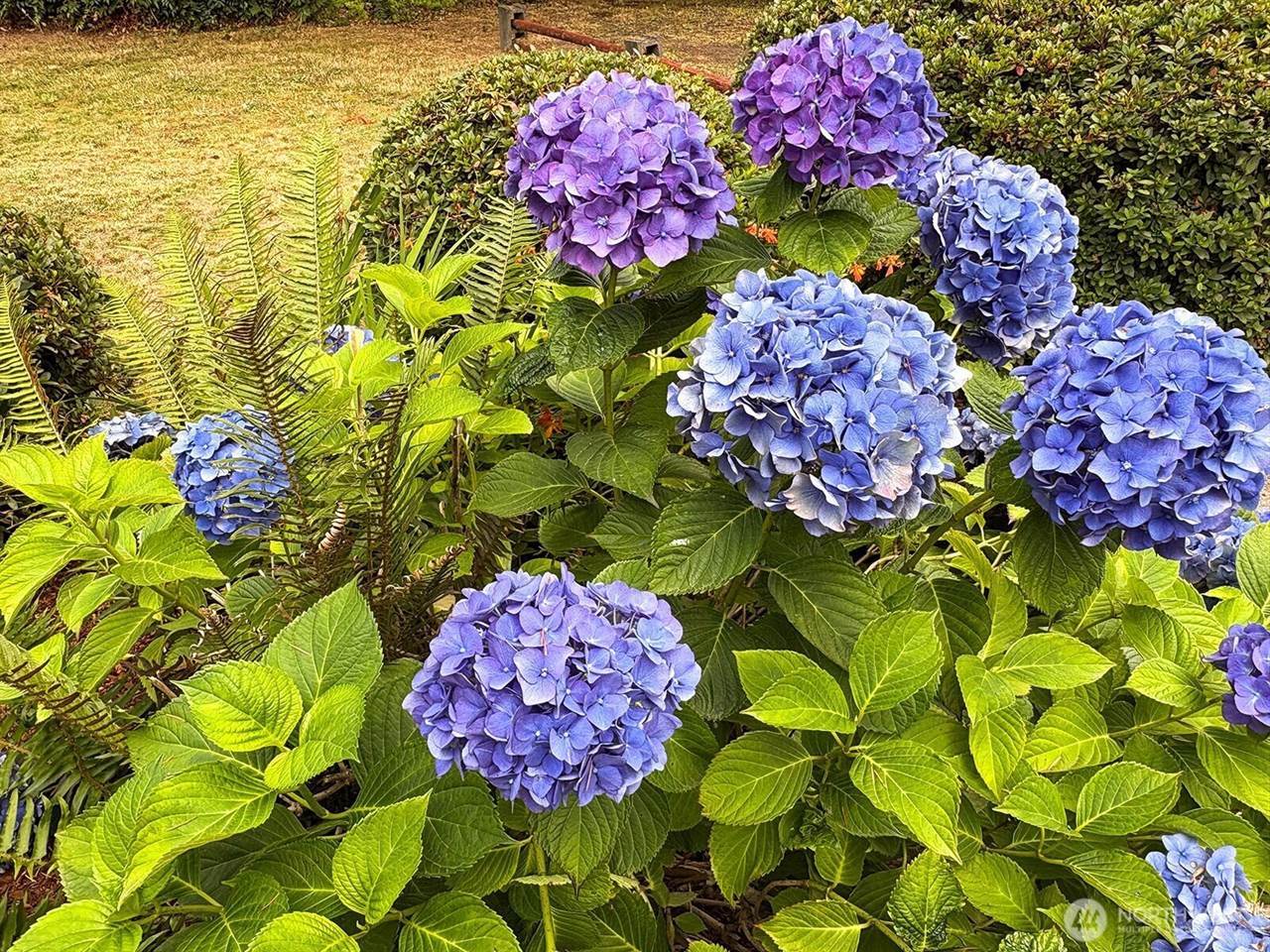 5426 70th Avenue NE, Olympia, WA 98516