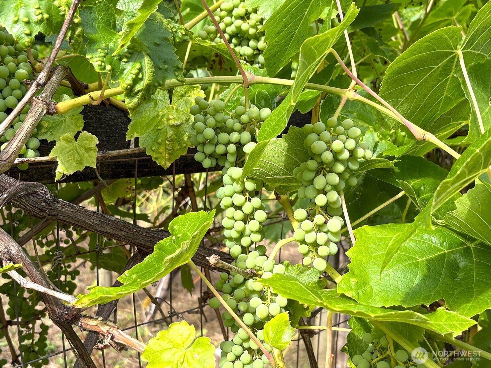 5426 70th Avenue NE, Olympia, WA 98516