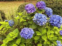 5426 70th Avenue NE, Olympia, WA 98516