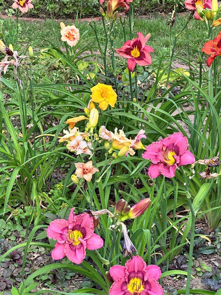 2564 Edgewood Lane, Green Bay, WI 54302