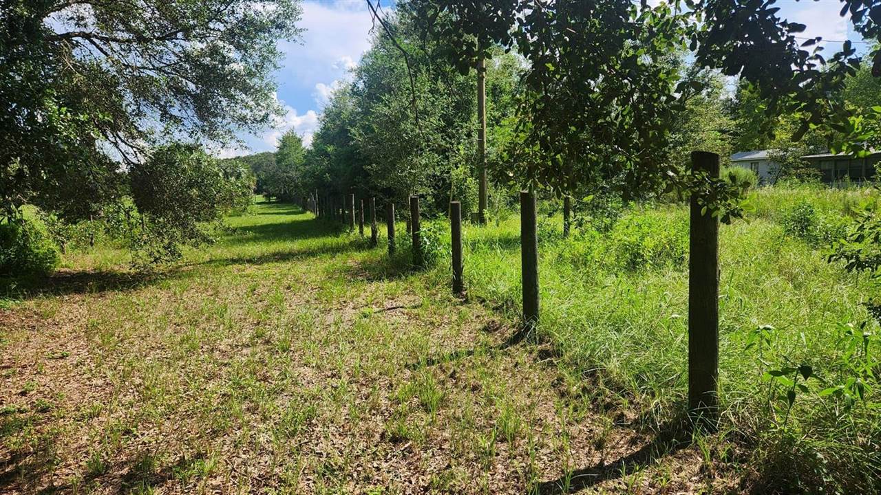 14040 SE Highway 42, Weirsdale, FL 32195