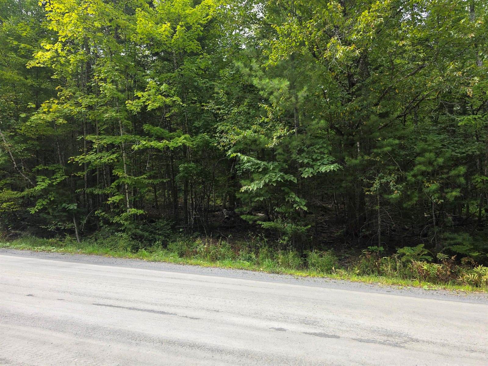 TBD Ballard Road, Saint Albans, ME 04971