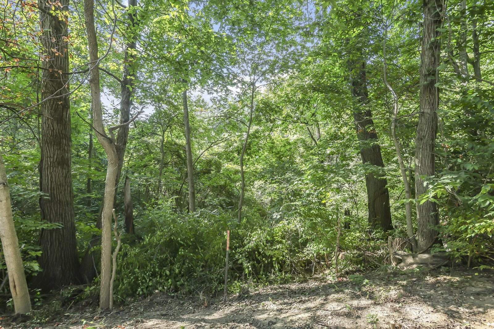 7846 Blacklick View Drive, Blacklick, OH 43004