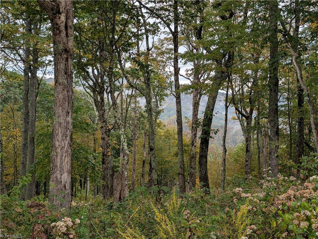 14 Elk Creek Mountain, Todd, NC 28684