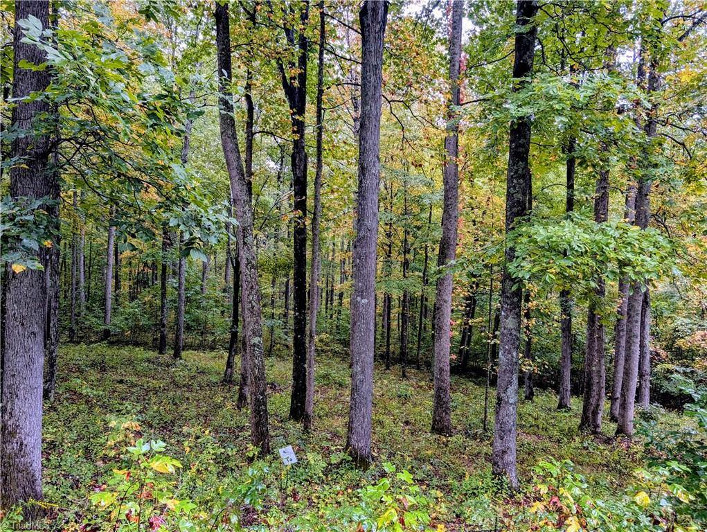 14 Elk Creek Mountain, Todd, NC 28684