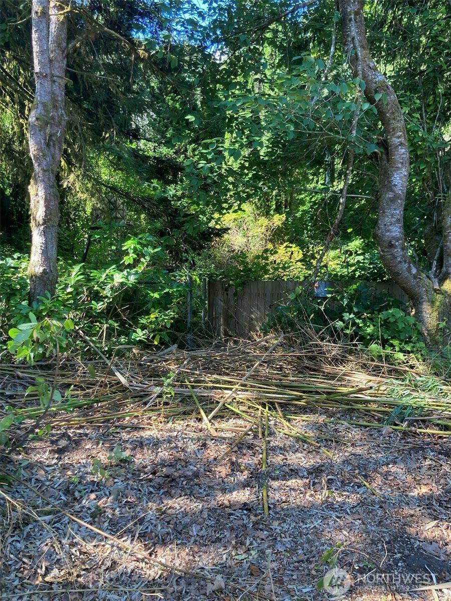 9535 Colony Lane, Concrete, WA 98237