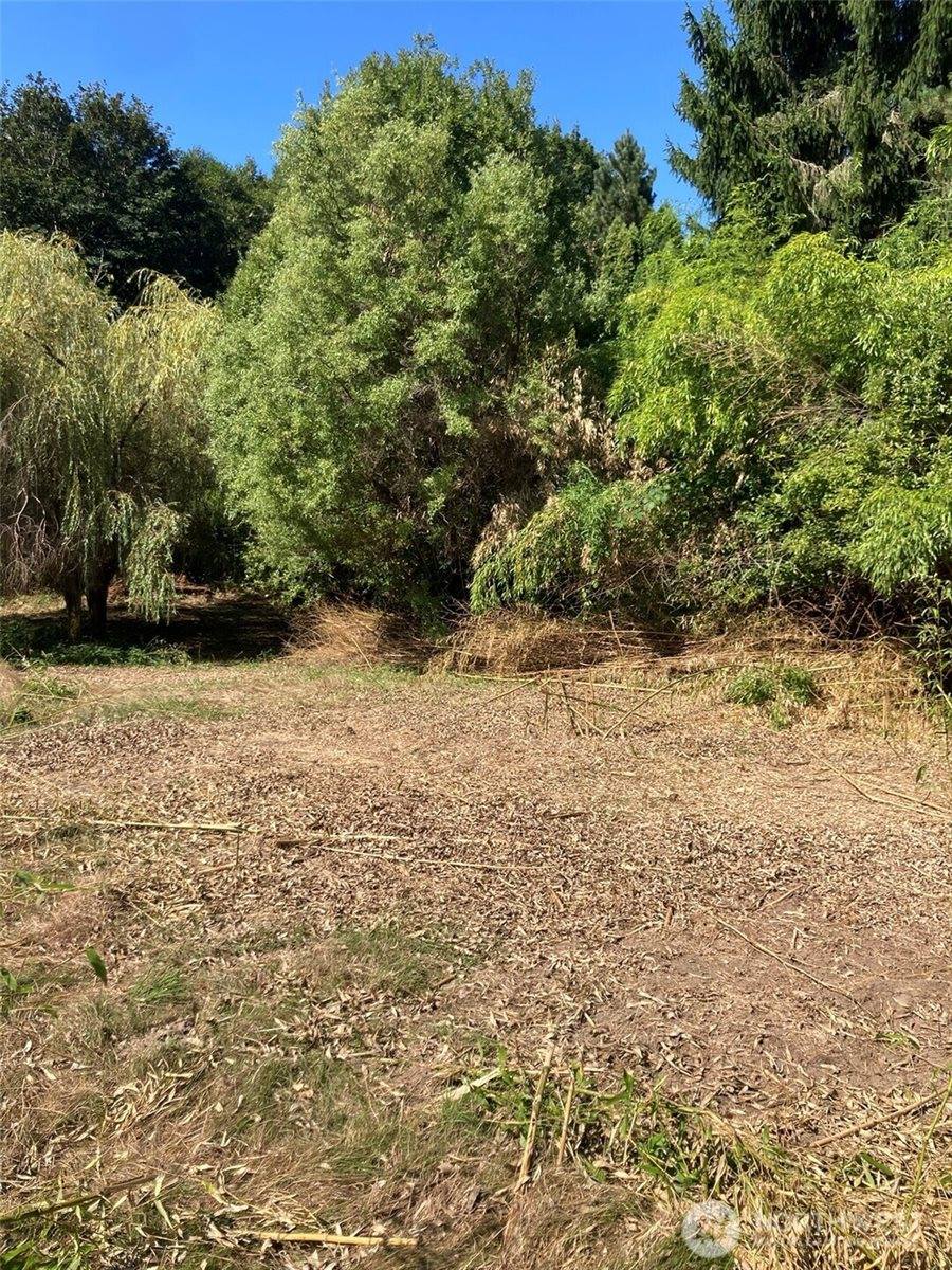 9535 Colony Lane, Concrete, WA 98237