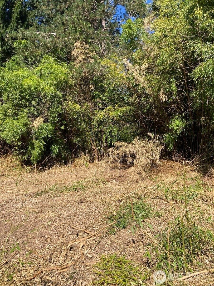 9535 Colony Lane, Concrete, WA 98237