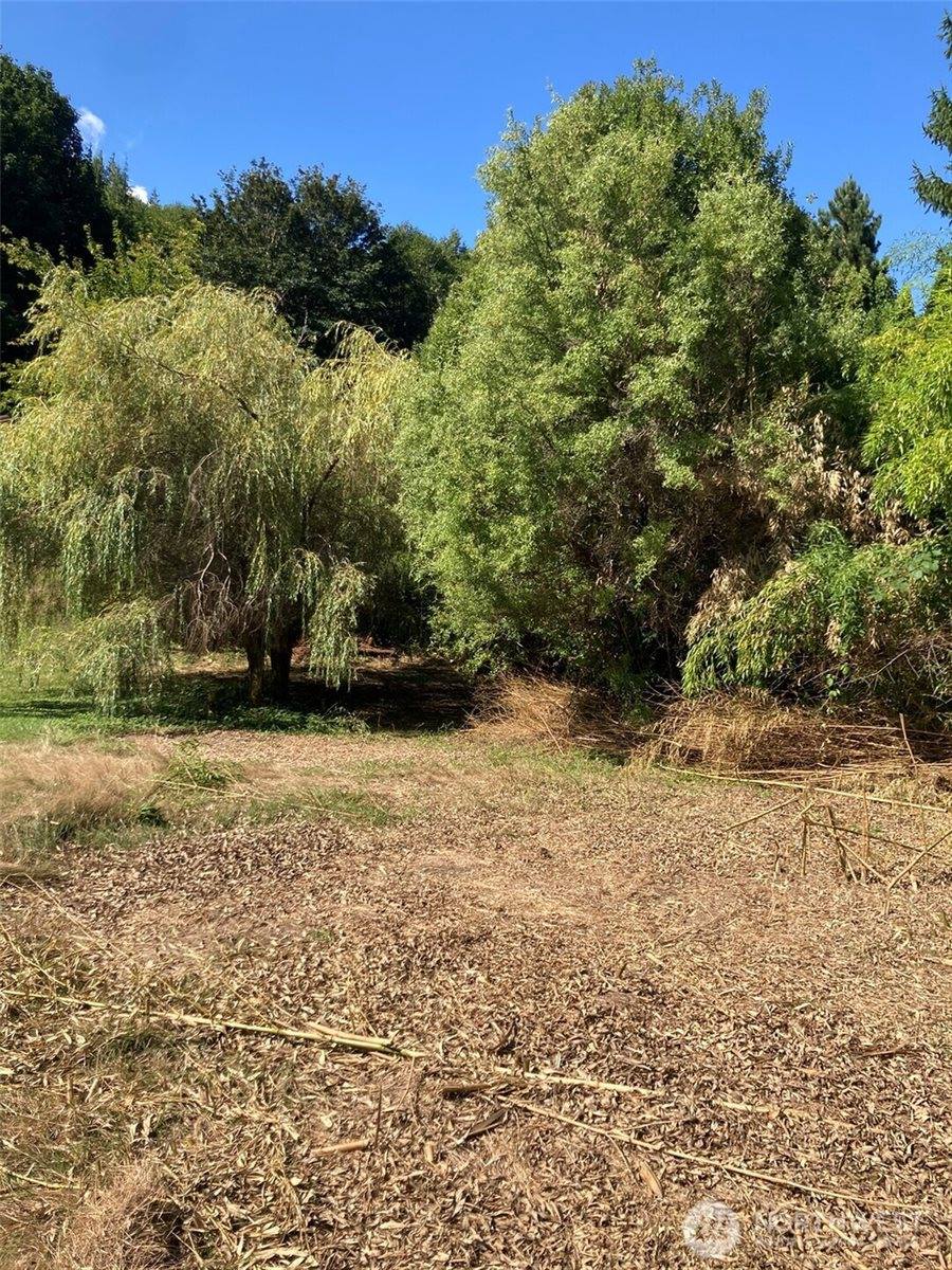 9535 Colony Lane, Concrete, WA 98237