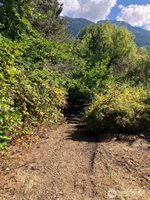 9535 Colony Lane, Concrete, WA 98237