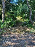 9535 Colony Lane, Concrete, WA 98237