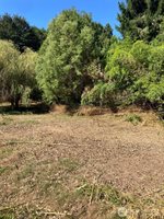 9535 Colony Lane, Concrete, WA 98237