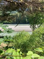 9535 Colony Lane, Concrete, WA 98237