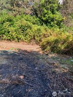 9535 Colony Lane, Concrete, WA 98237