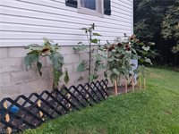 2105 Chewelah Avenue, Zanesville, OH 43701