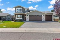 3739 Buffalo Lane, Montrose, CO 81403