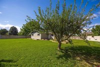 16346 Olive Court, Montrose, CO 81403