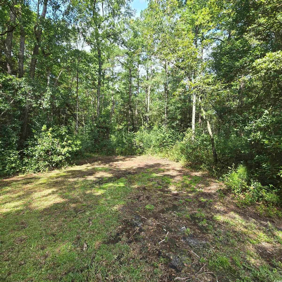 428 Bear Grass Rd., Longs, SC 29568