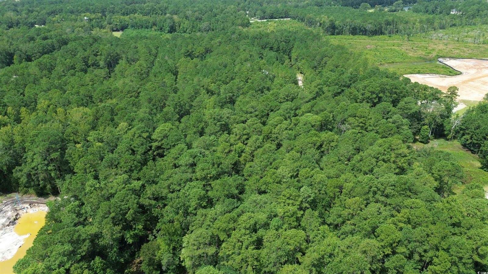 428 Bear Grass Rd., Longs, SC 29568