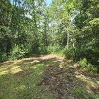 428 Bear Grass Rd., Longs, SC 29568