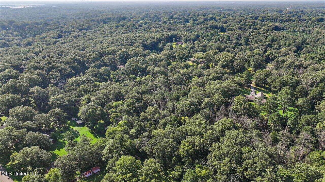 Castlewood Drive, Clinton, MS 39056