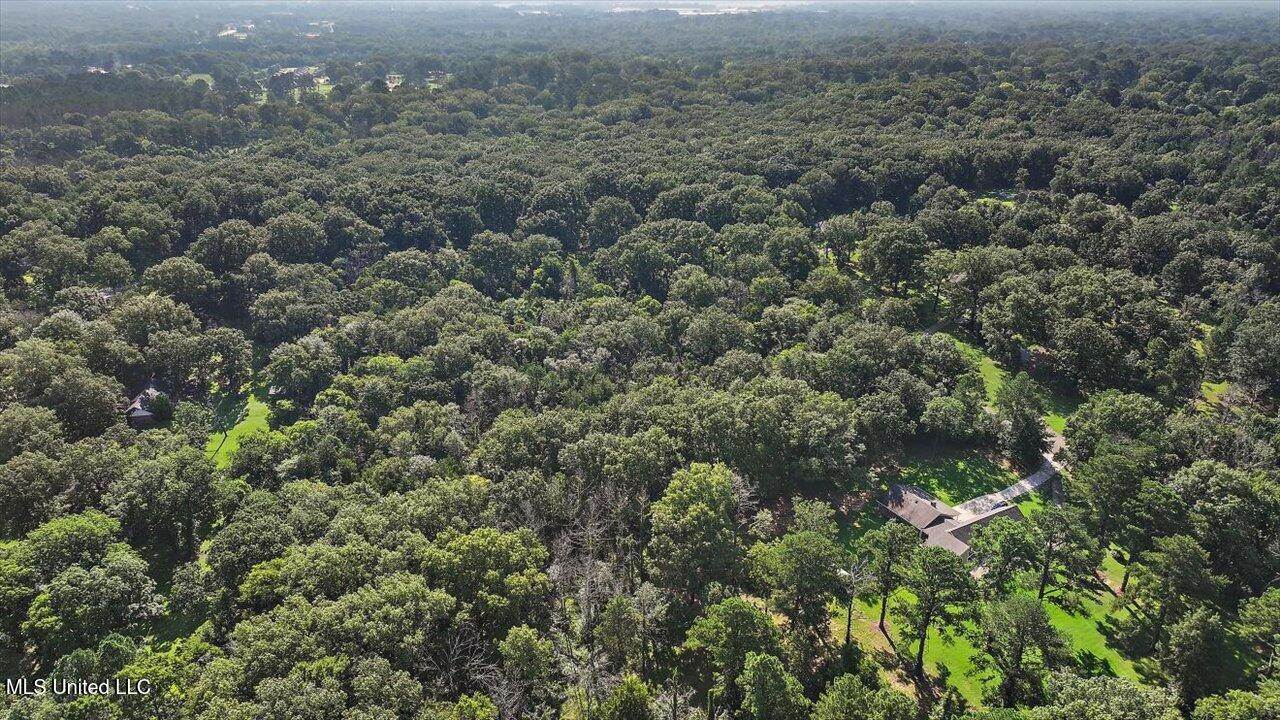 Castlewood Drive, Clinton, MS 39056