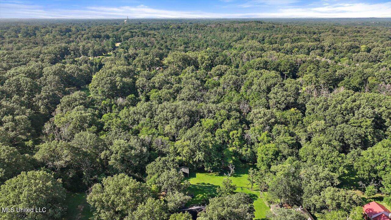 Castlewood Drive, Clinton, MS 39056