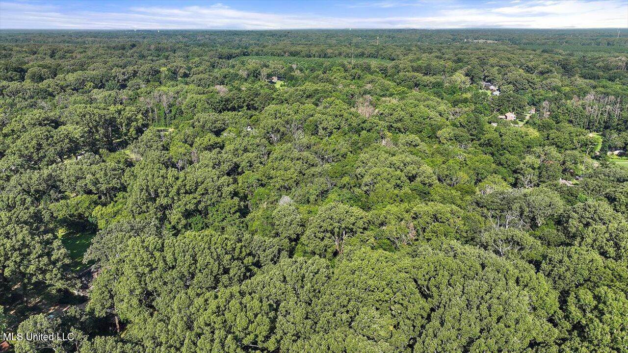 Castlewood Drive, Clinton, MS 39056