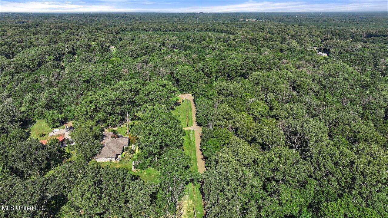 Castlewood Drive, Clinton, MS 39056