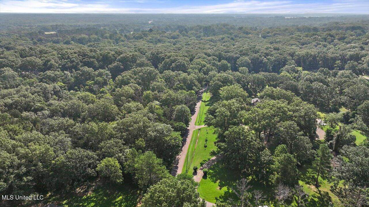 Castlewood Drive, Clinton, MS 39056