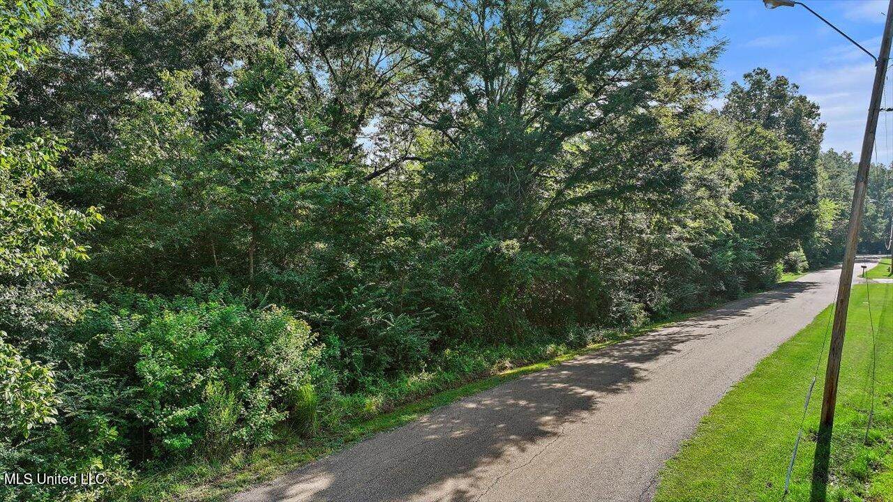 Castlewood Drive, Clinton, MS 39056