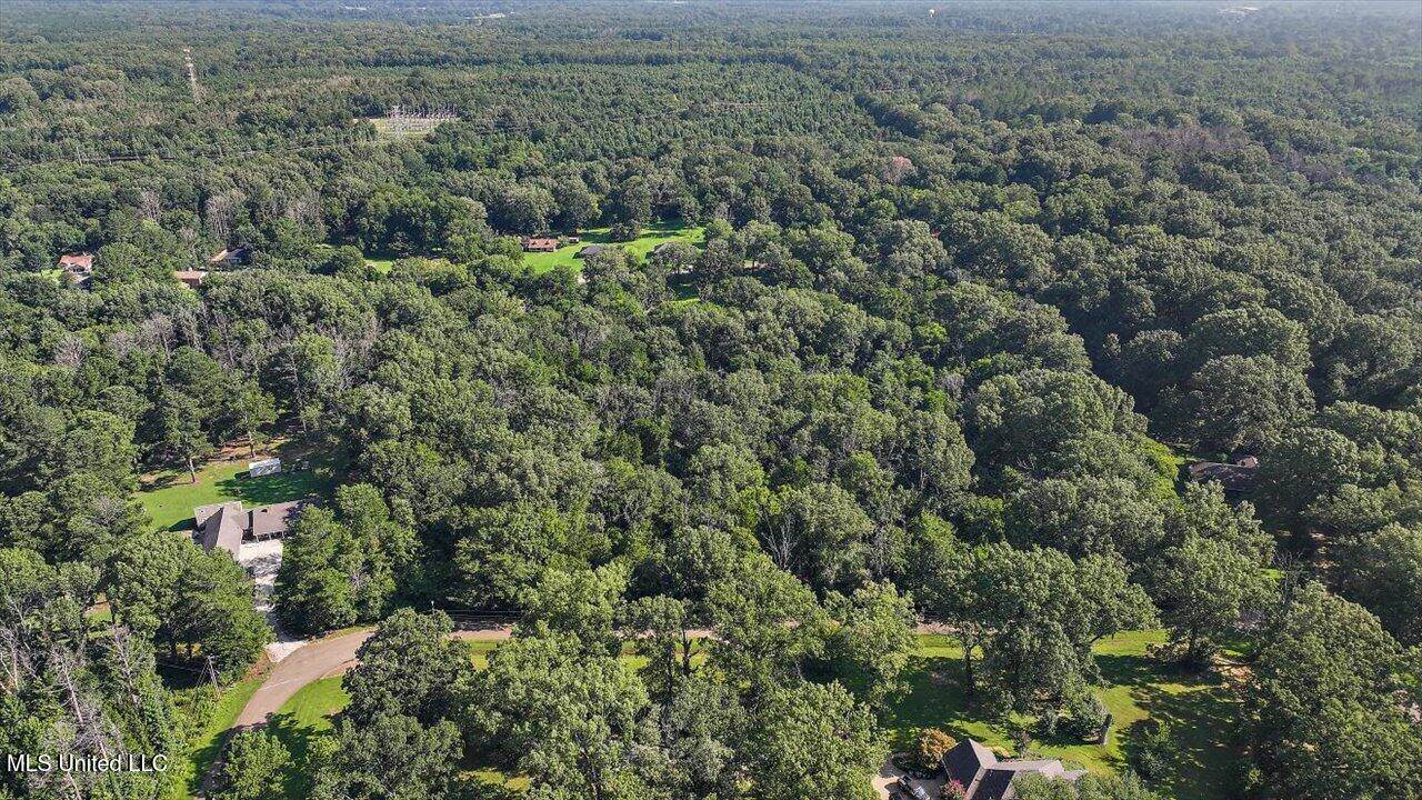 Castlewood Drive, Clinton, MS 39056