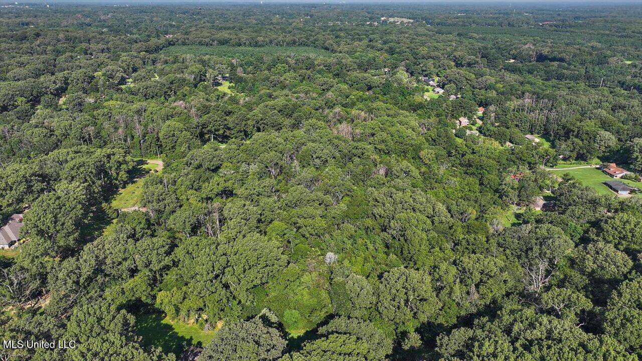 Castlewood Drive, Clinton, MS 39056