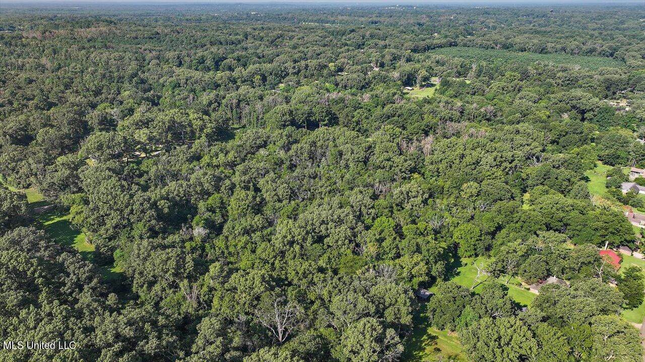 Castlewood Drive, Clinton, MS 39056