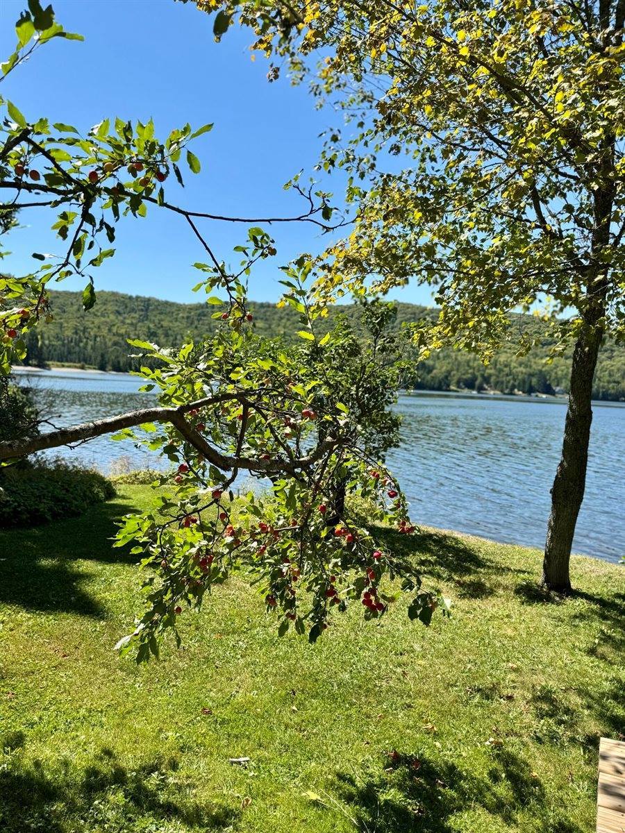 79 East Van Buren Cove Road, T17 R3 Wels, ME 04785