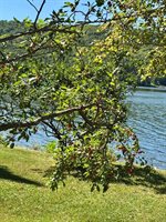 79 East Van Buren Cove Road, T17 R3 Wels, ME 04785