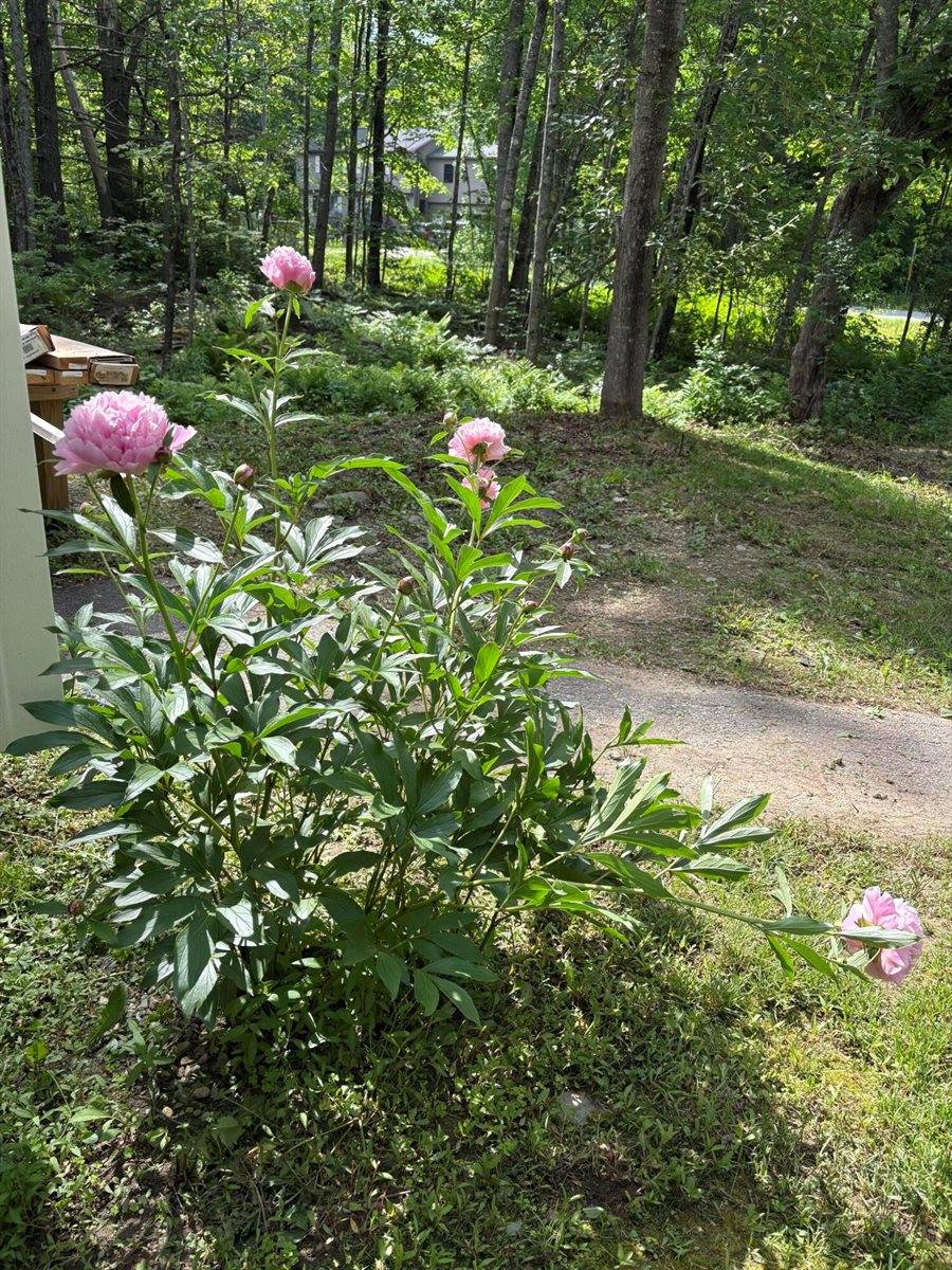 549 Hudson Road, Glenburn, ME 04401