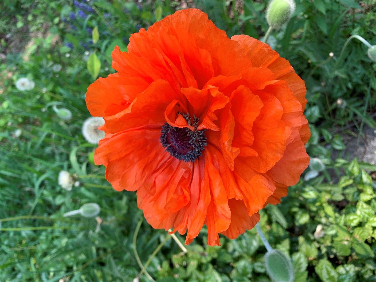 549 Hudson Road, Glenburn, ME 04401