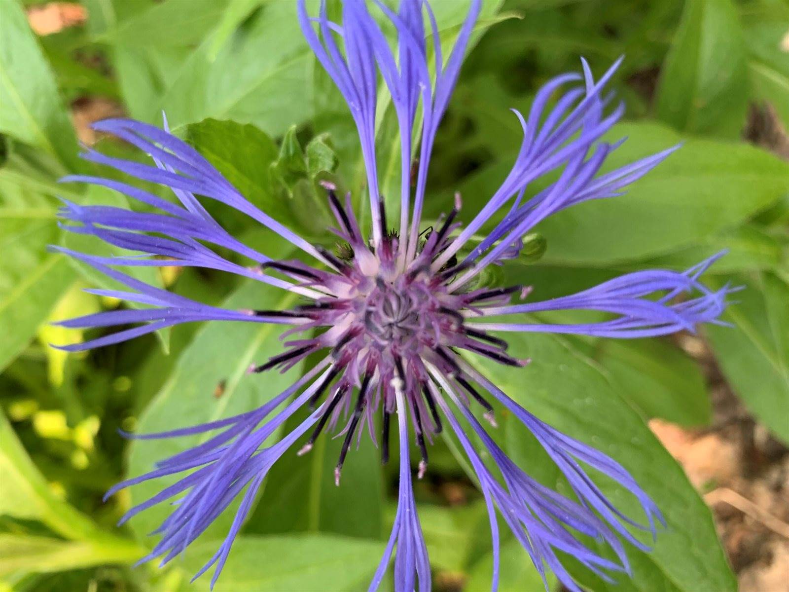 549 Hudson Road, Glenburn, ME 04401