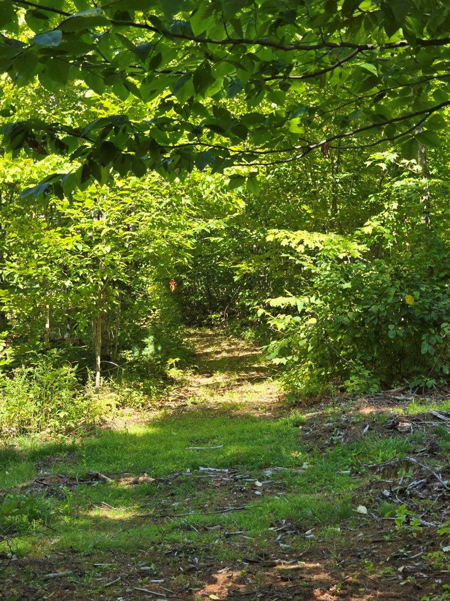 331 Beans Corner Road, New Sharon, ME 04955