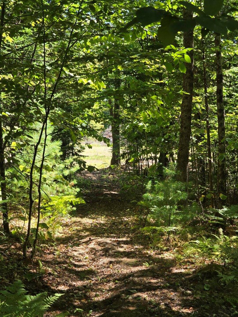 331 Beans Corner Road, New Sharon, ME 04955