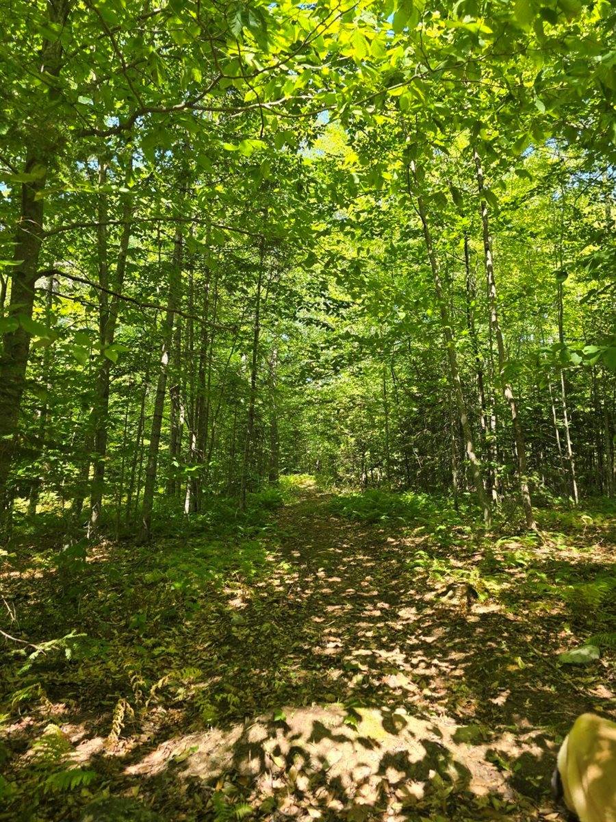 331 Beans Corner Road, New Sharon, ME 04955