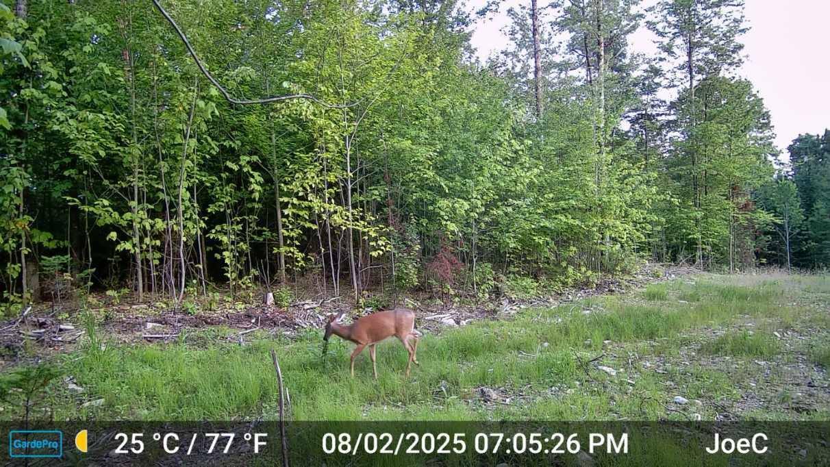 331 Beans Corner Road, New Sharon, ME 04955