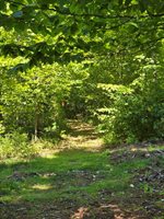 331 Beans Corner Road, New Sharon, ME 04955