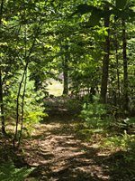 331 Beans Corner Road, New Sharon, ME 04955