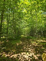 331 Beans Corner Road, New Sharon, ME 04955