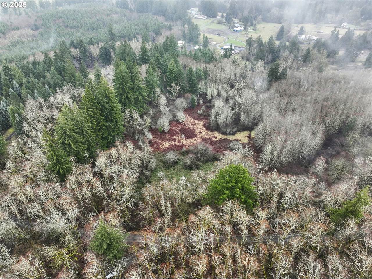 NE 197th Ct, Amboy, WA 98601